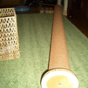 Bodenplatte und Säule von unten