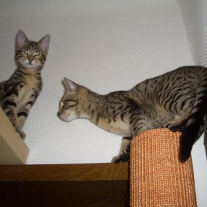 erster Test (noch mit Festhalten und nicht verschraubt)