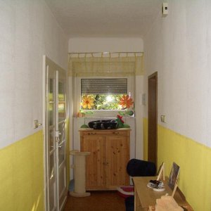 Fensterseite und Wohnungstür - noch jungfräulich...