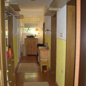 Fensterseite - mit 2 nachträglich angebrachten, kleineren Brettern als zusätzlichen Auf- und Abstiegen