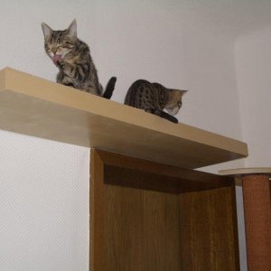 gleich mal testen...