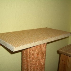 Abschlussplatte mit Teppich