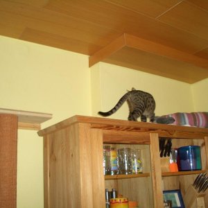 von der Säule auf den Schrank :-)