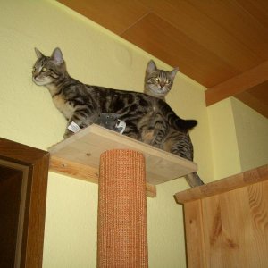 oben sind wir - aber wie kommen wir jetzt wieder runter?