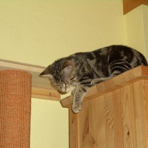 Wie komme ich da bloß wieder runter?