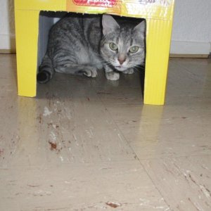 hehe versteckt und doch gefunden