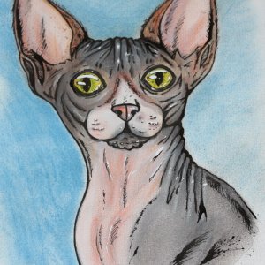 Caprica  erster  versuch lol  ich bin besser in comic und Manga   lol