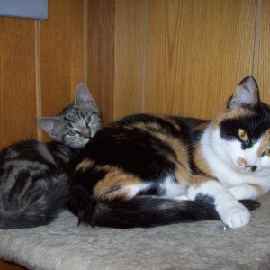 Charly und Lucky auf Kuschelkurs