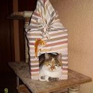 Hab` sogar meine eigene Villa bekommen. 
Besteht aber leider nur aus einem Karton.