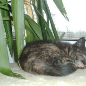 Einen Monat später, die Ruhe tut mir gut!