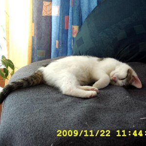 0003 Leila November 2009