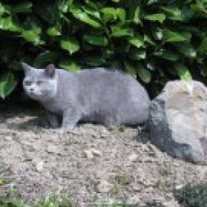 405551 333832153323712 100000907896978 983008 699094299 a