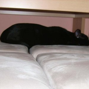 so liegts sich doch bequem ;-)