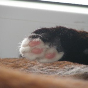 Die kleine Süße, die hat wunderschöne Füße ;)