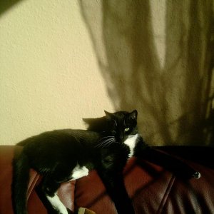 ein platz an der sonne