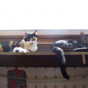 extreme chilling..........