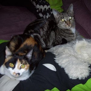 überhaupt nicht schockiert.........der böse Blitz der Kamera