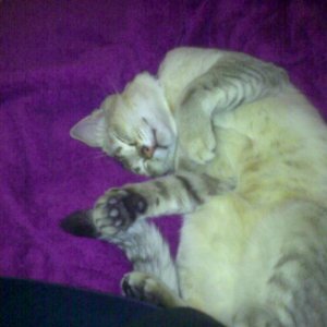 Da war er gerade mal einige Tage bei uns :-)