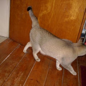 Und mein Zimmer schon am Erforschen