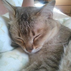 Das war noch vor ca 2 Wochen..