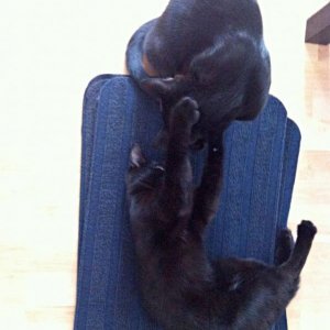 Kann man toll drauf spielen...