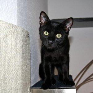 Da kuckt auch schon der erste frech vom Regal runter.