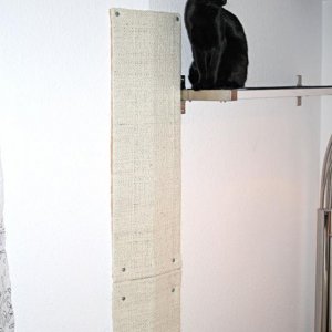 Hier sind man noch die beiden Eckkratzbretter, die übereinander angebracht wurden...das dient als Zustieg zum ersten Regal