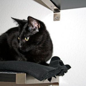 ...Hier noch eine gemütliche Decke zum entspannen...