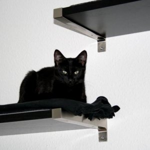 ...der neue Platz scheint zu gefallen...