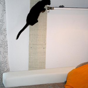 Der Aufstieg klappt!