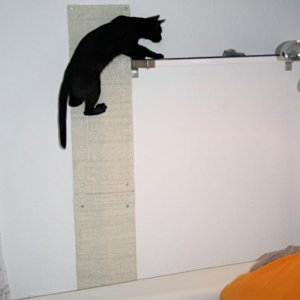 Schnell das Ding apportieren! :-)