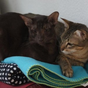 Freunde fürs Leben.