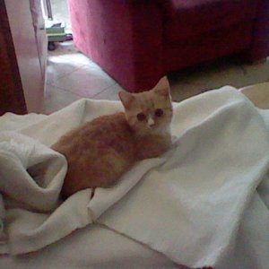 Hier war sie auch noch etwas kleiner