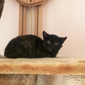 Anfangs war sie sehr ängstlich und scheu.