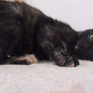 Das erste mal vorsichtig anfassen.