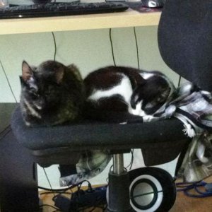 Ich wünsch dir alles alles Gute für dein Leben und viel Spaß mit Deniz.