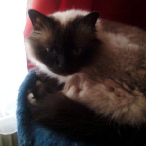 Und noch mal das Mädel