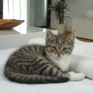 Das stolze neue Familienmitglied