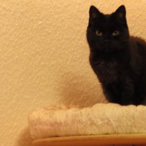 Pünktchen Juli 2012