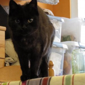 Pünktchen Juli 2012