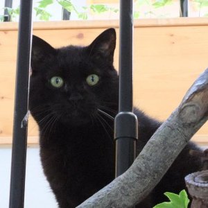 Mina, verstorben Mai 2012