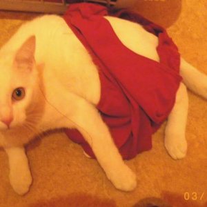 ist nicht so wie es aussieht