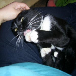 Putzen will gelernt sein