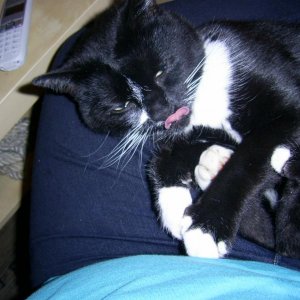 Schrubben den ganzen Tag