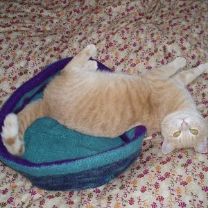 Sternchen Cakes in türkis-lila