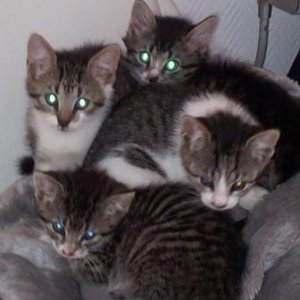 Die Rasselbande... Schön war die Zeit!!