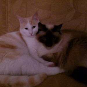 Luca 1 Jahr & Filou 13 Jahre...