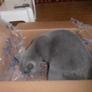 Haben wir auch nichts vergessen?