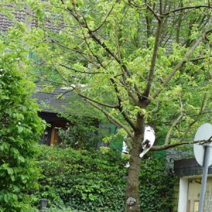 wie komm ich wieder runter