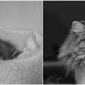 Manche Gewohnheiten ändern sich nie :mrgreen: